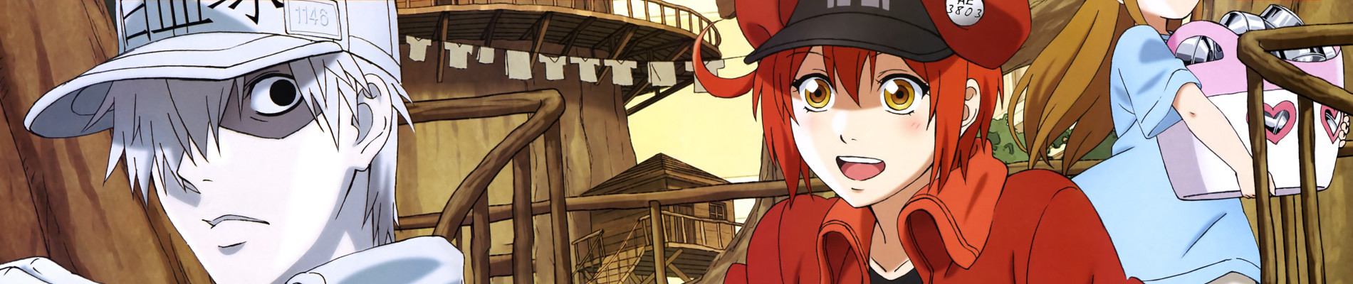 Cells at Work!