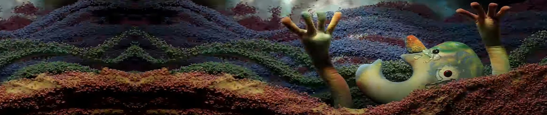 Cogito Wonderland