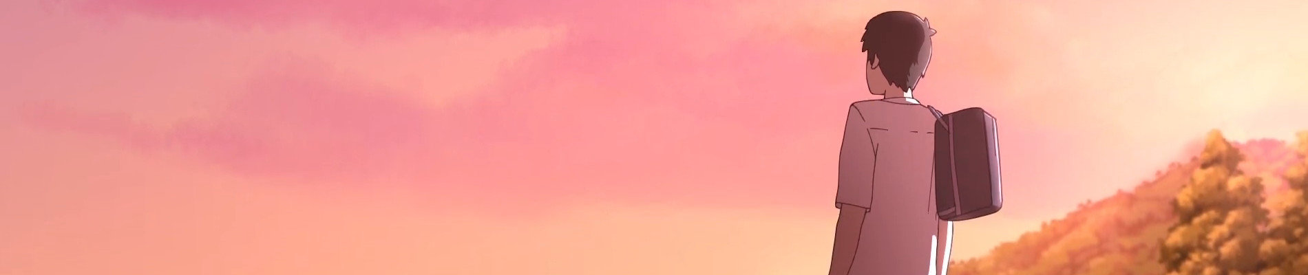 Cosmos summer