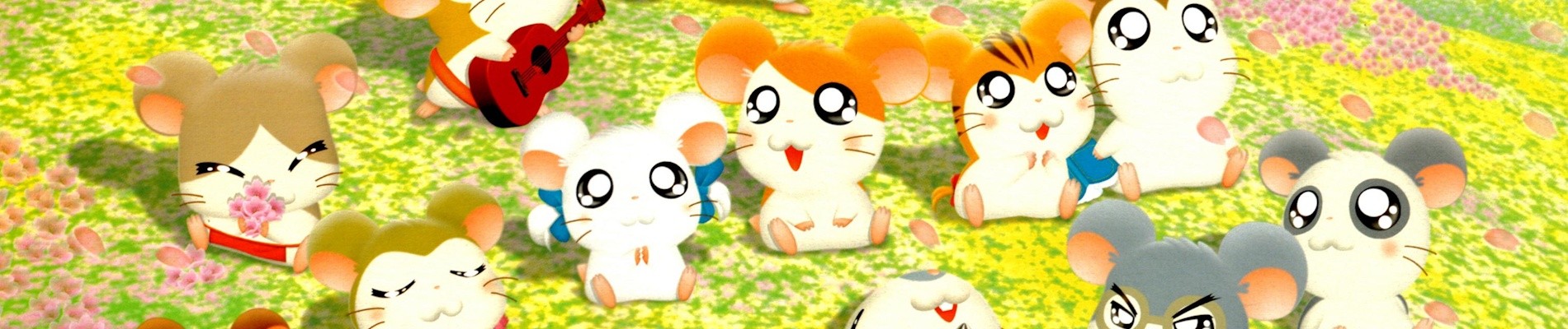 Hamtaro