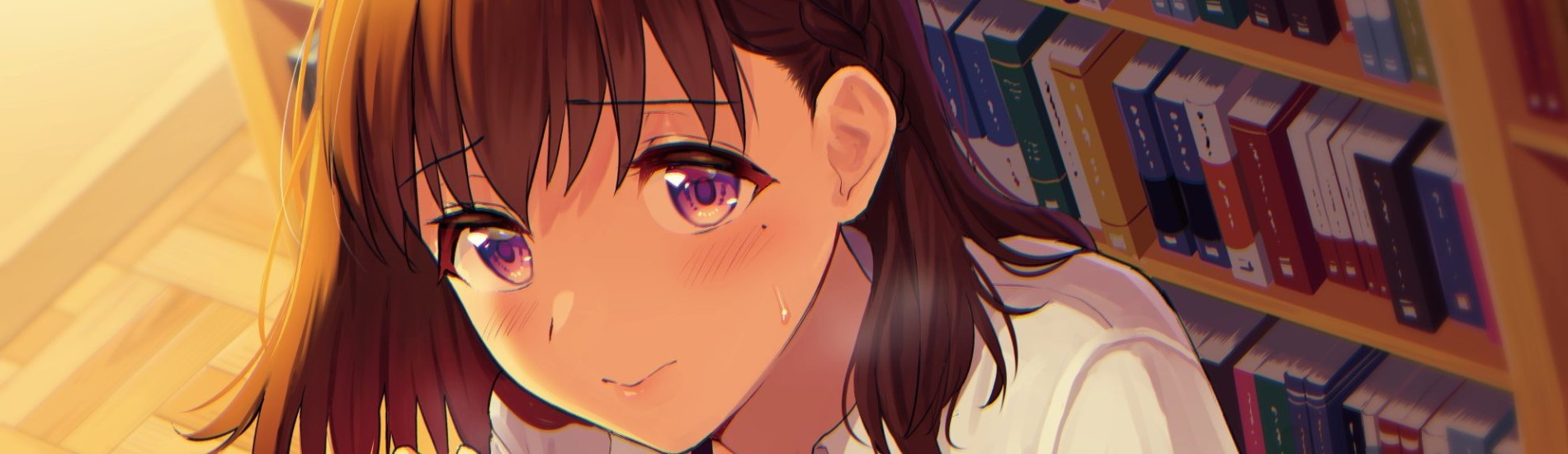 The Girl in the Library ～Fall of Purity～ THE ANIMATION