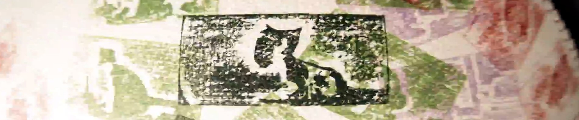 tumbled cat