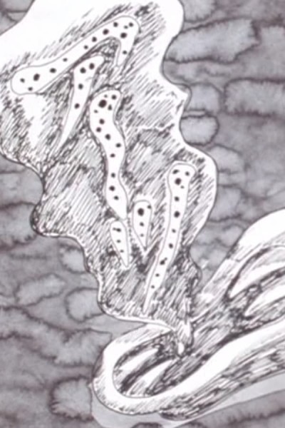 Ten Nights' Dreams
