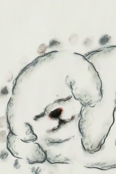The Cloudy Dog Talk About