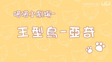 Miao Miao Xiao Juchang