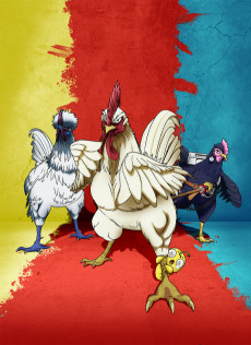Rooster Fighter