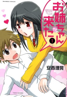 Onee-chan ga Kita